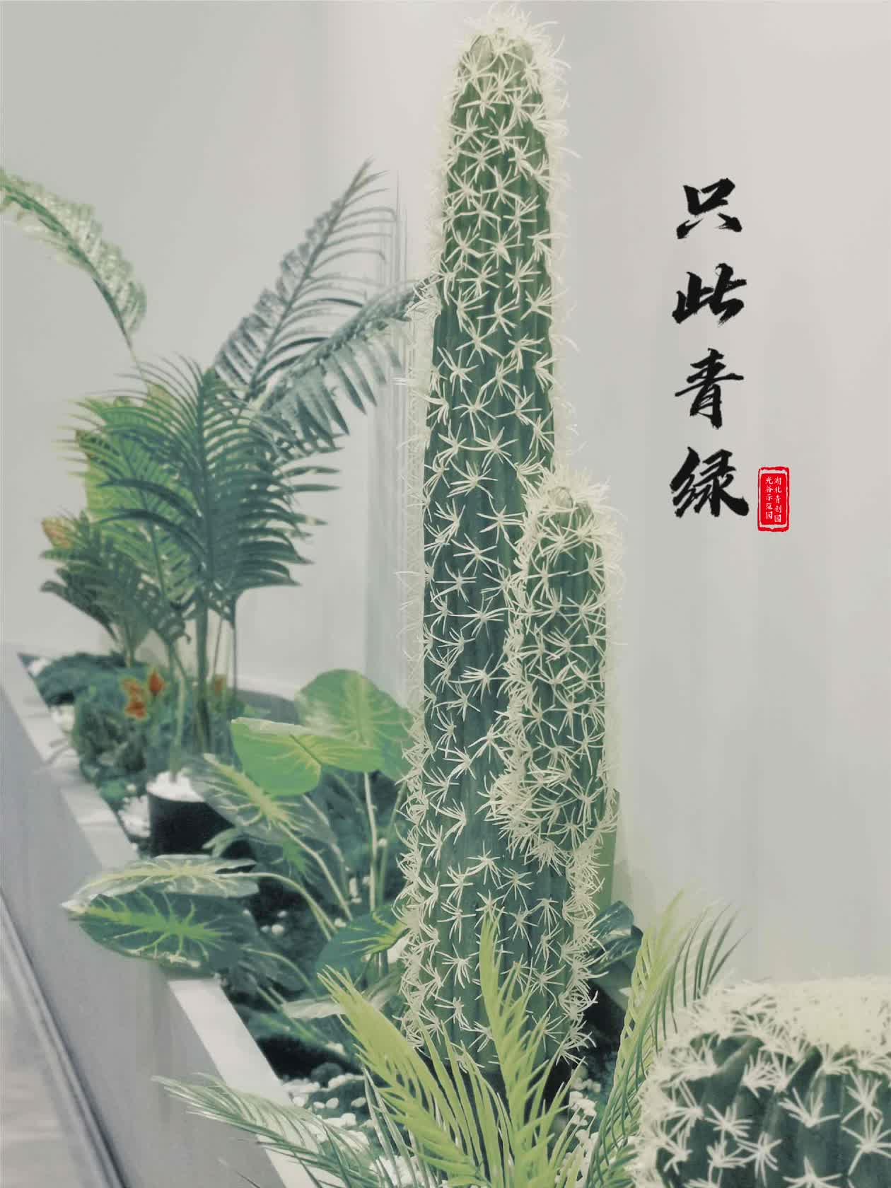 134219475.jpeg 1(1).jpeg