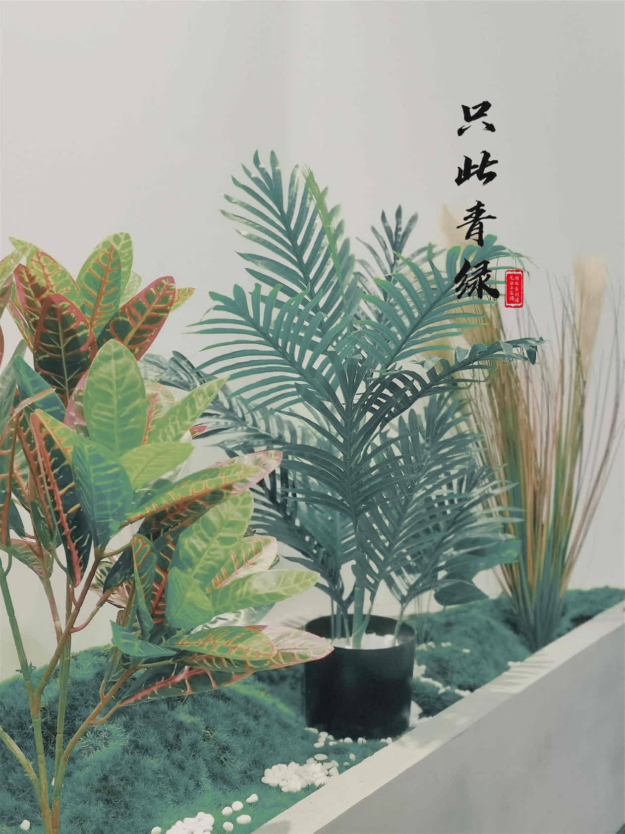 134301929.jpg 4(1).jpg