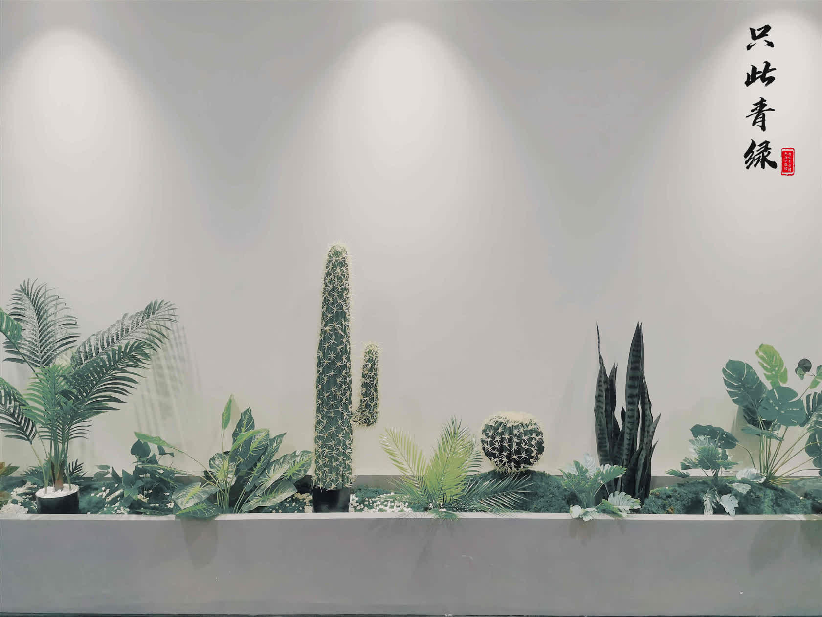 134315371.jpg 5(1).jpg