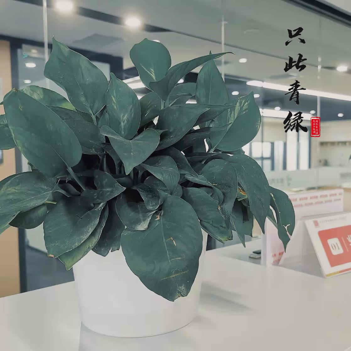 134421110.jpg 9(1).jpg