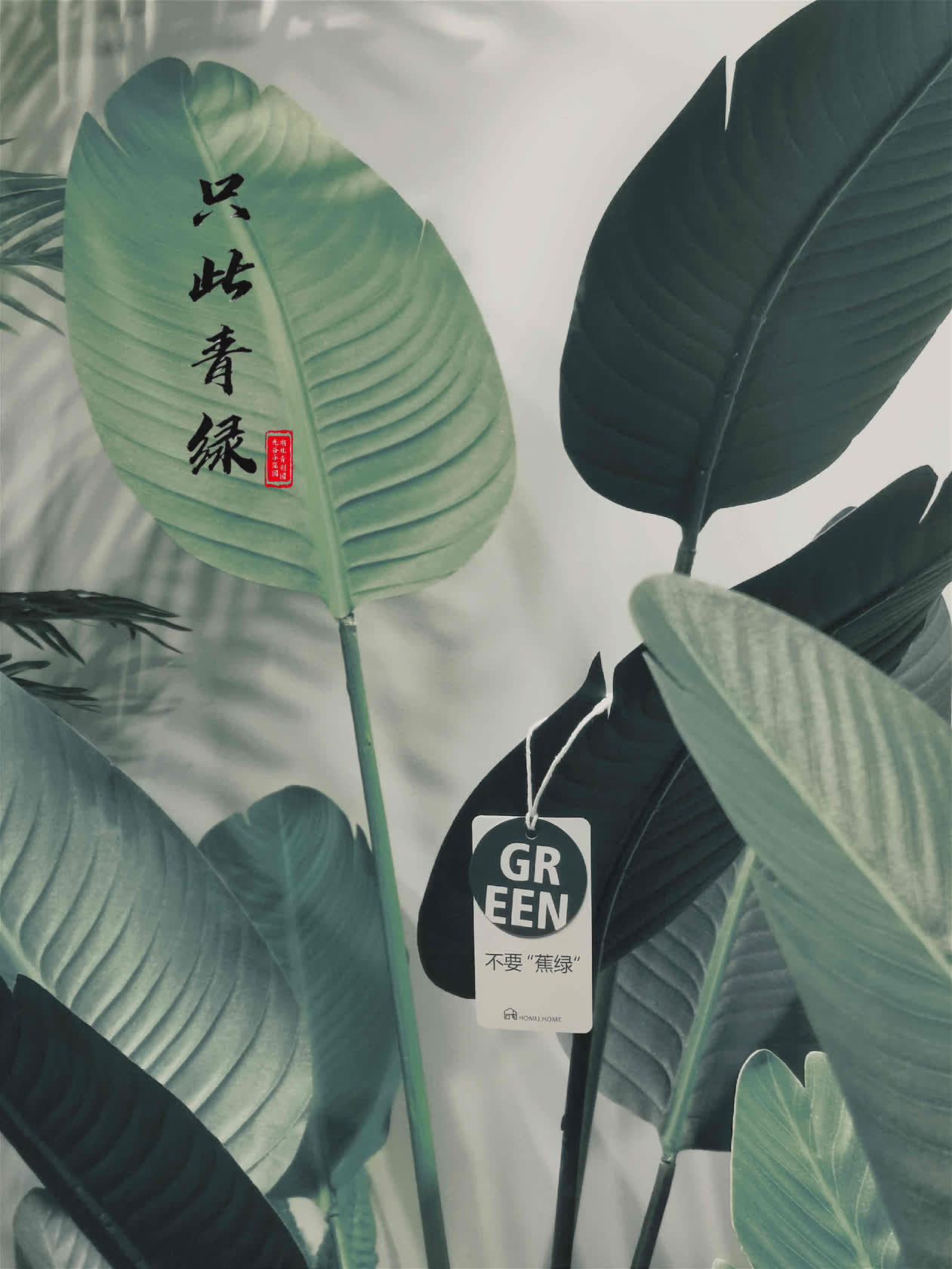 134434105.jpg 11(1).jpg