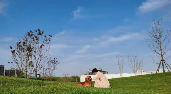 192245139.png image.png