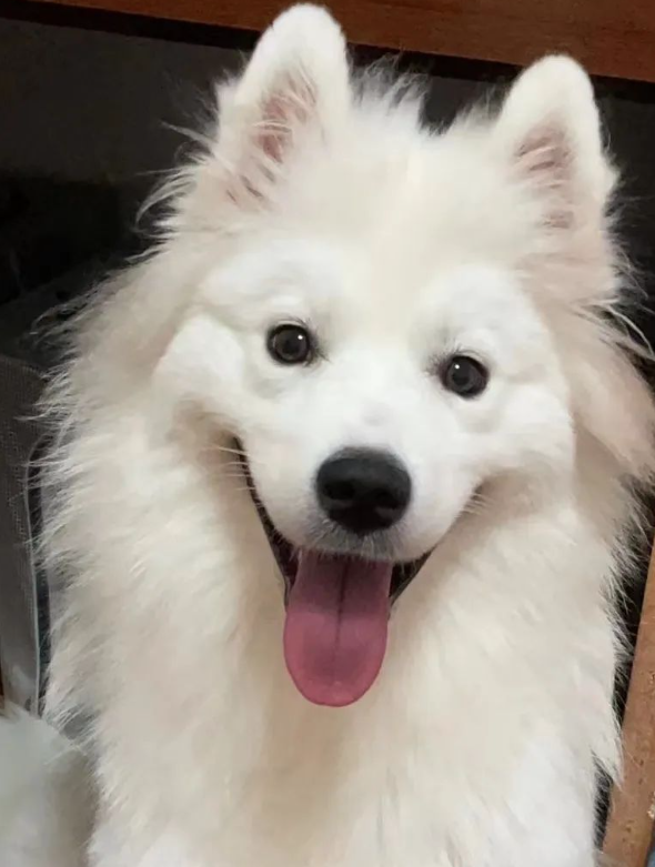 192419819.png image.png