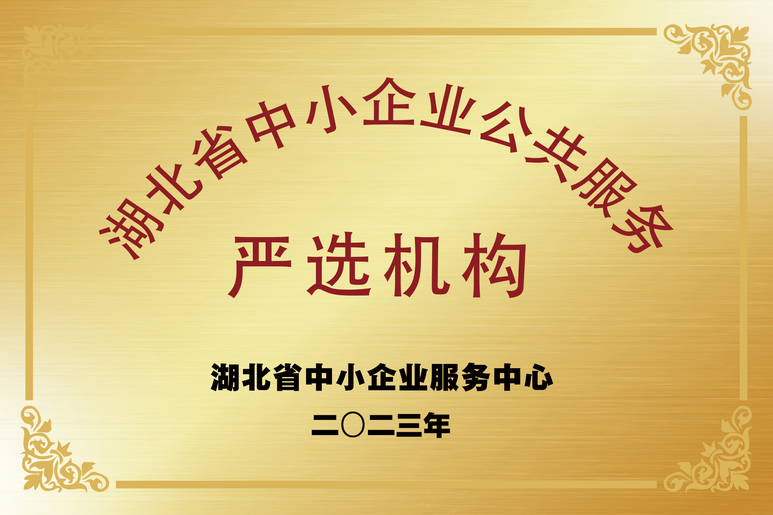 湖北省中小企业公共服务严选机构.jpg